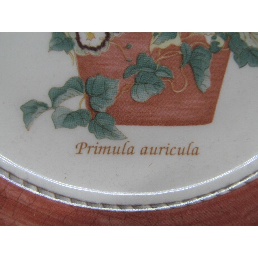 Wedgwood Queen's Ware England Sarah's Garden Primula Auricula Salad Plate 8" - Picture 3 of 14